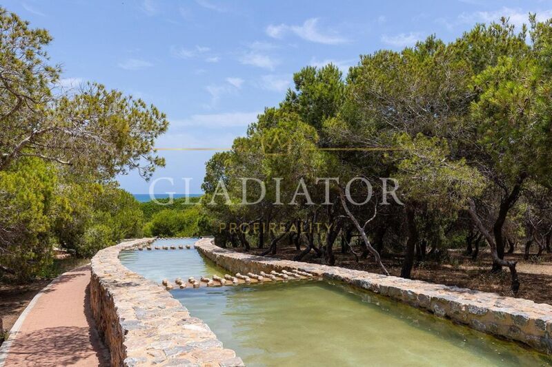 La Mata / Alicante /Costa Blanca/