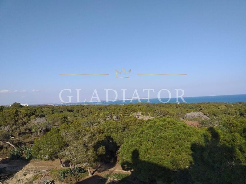 Apartmán Guardamar del Segura / Alicante