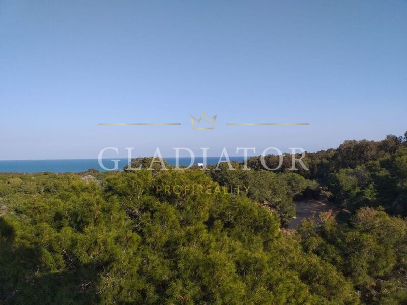Apartmán Guardamar del Segura / Alicante